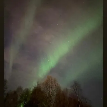 Apartamento Cozy - Near Santa Claus Village - Wifi, Sauna, Free Parking *