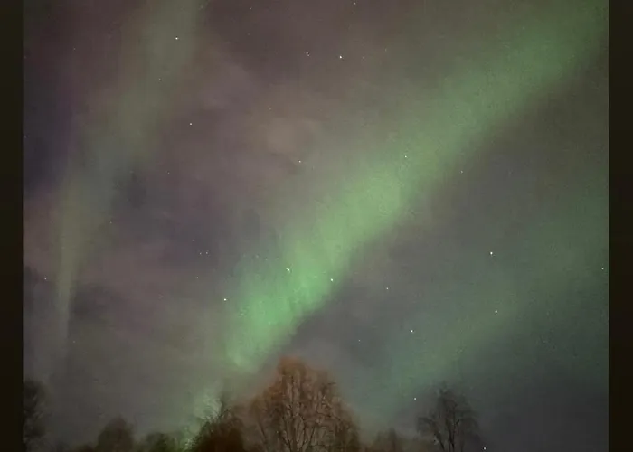 Διαμέρισμα Cozy - Near Santa Claus Village - Wifi, Sauna, Free Parking *